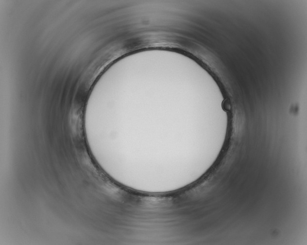 X0000112941281200910051146