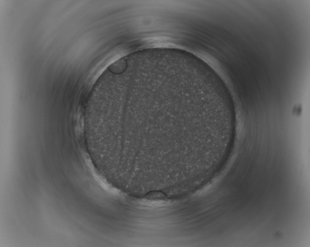 X0000112941289200910051146