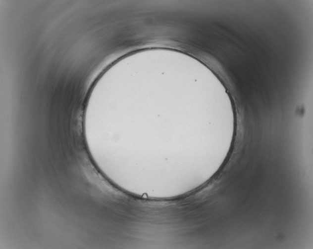 X0000112941292200910051146
