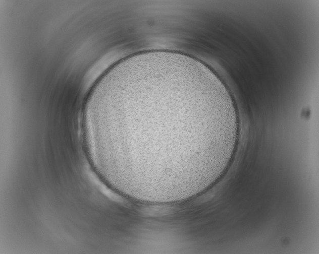 X0000112941294200910051146