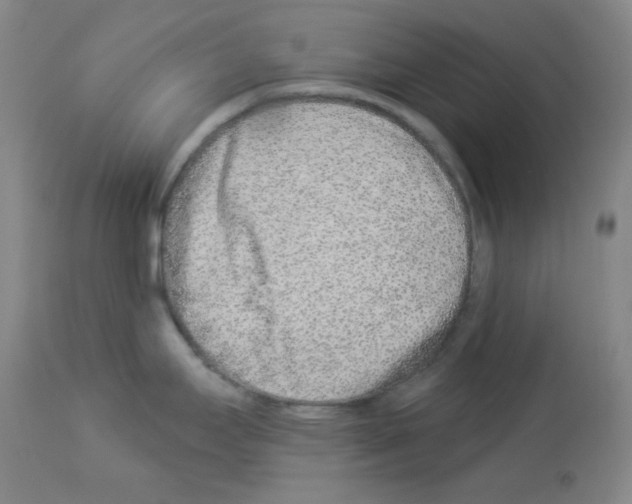 X0000112941295200910051146