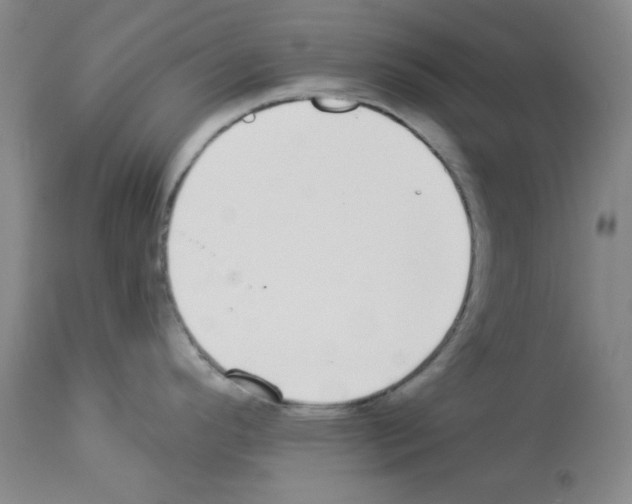 X0000112941296200910051146
