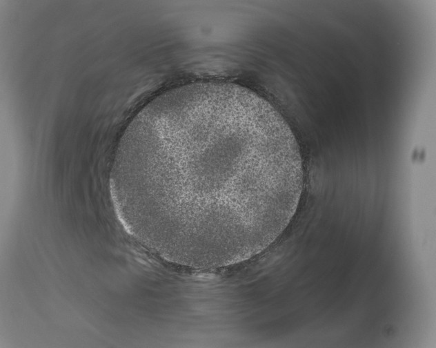 X0000112941297200910051146