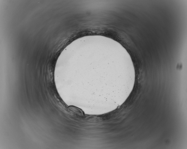 X0000112941298200910051146