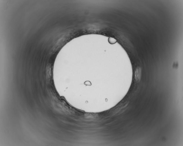 X0000112941299200910051146