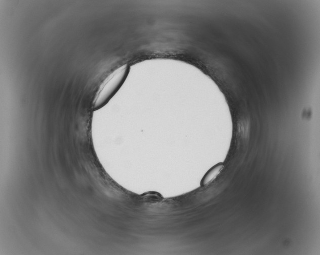 X0000112941300200910051146