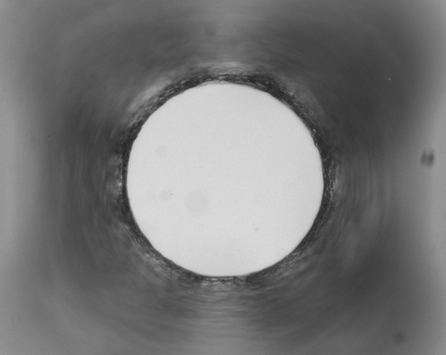 X0000112941301200910051146