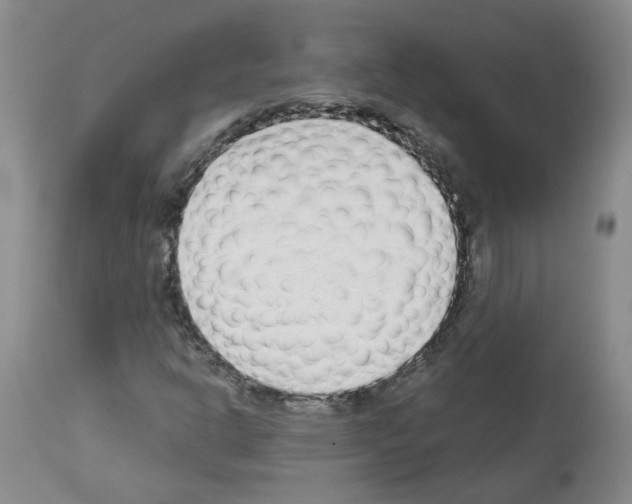 X0000112941302200910051146