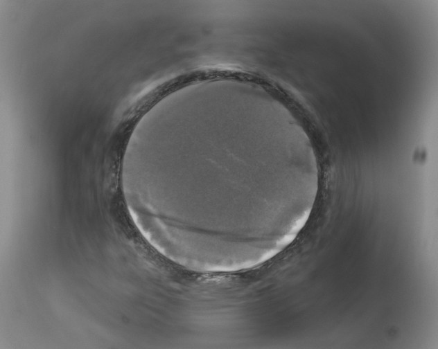 X0000112941303200910051146
