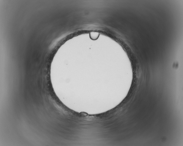 X0000112941304200910051146