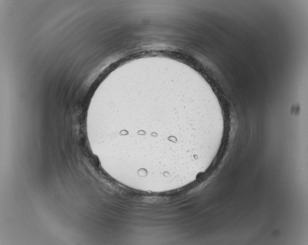 X0000112941305200910051146