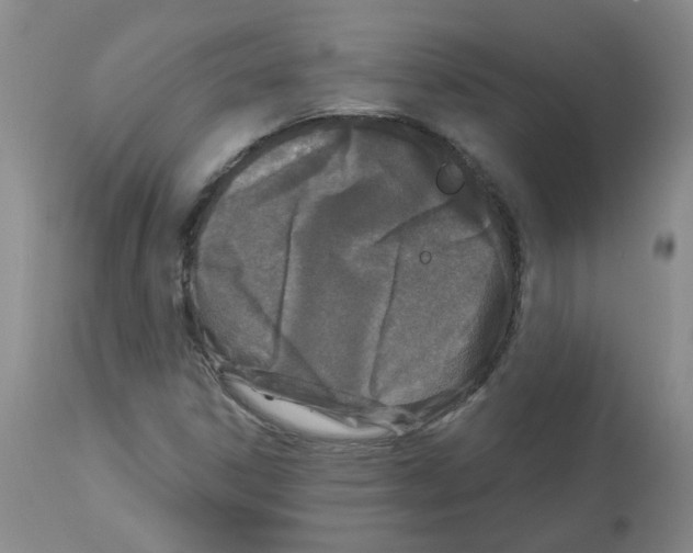 X0000112941306200910051146