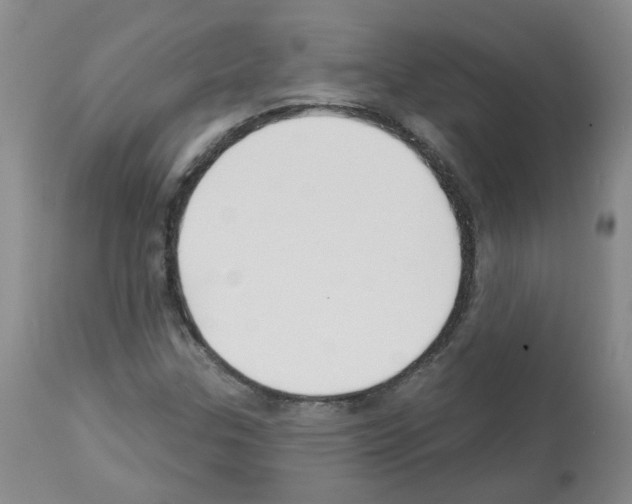 X0000112941307200910051146