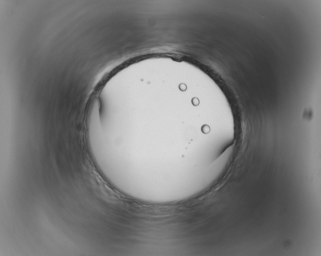 X0000112941308200910051146
