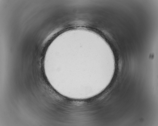 X0000112941309200910051146