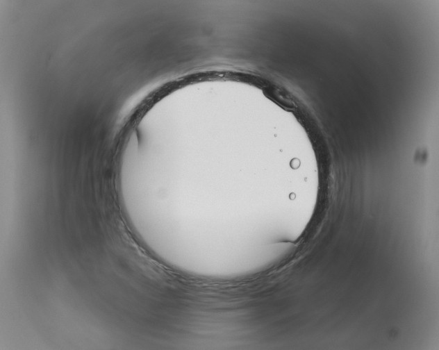 X0000112941310200910051146