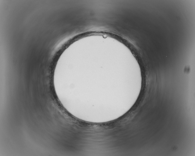 X0000112941311200910051146