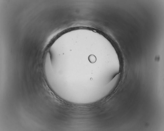 X0000112941312200910051146