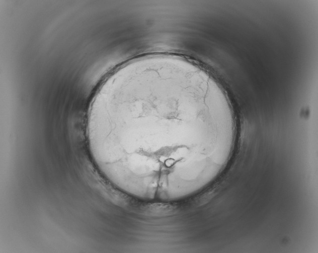 X0000112941314200910051146
