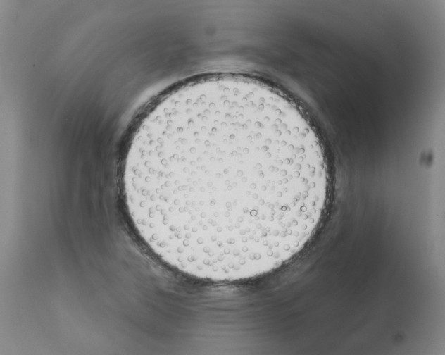 X0000112941315200910051146