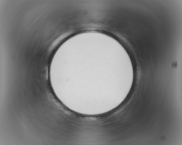X0000112941317200910051146