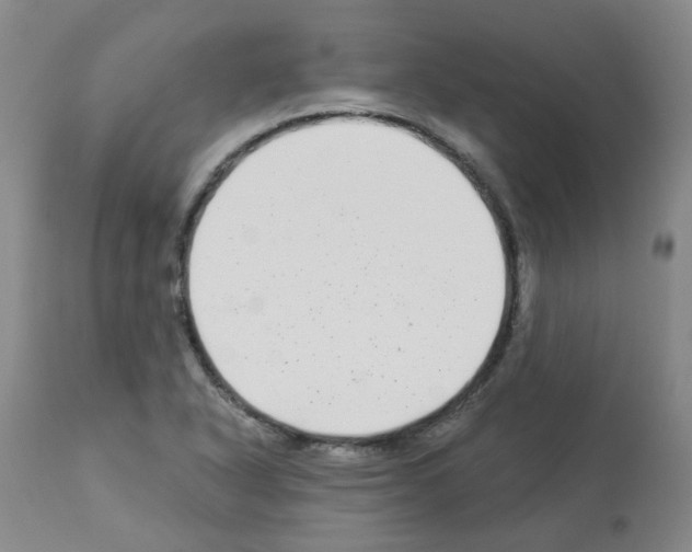 X0000112941318200910051146