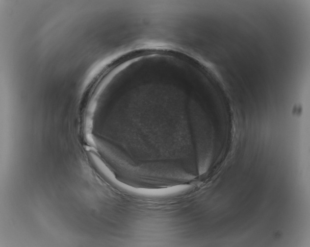 X0000112941319200910051146