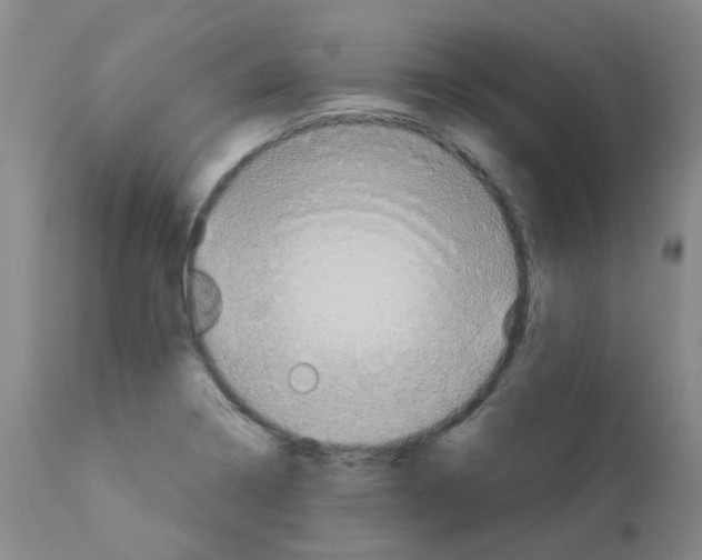 X0000112941322200910051146