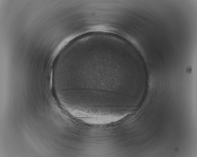 X0000112941323200910051146
