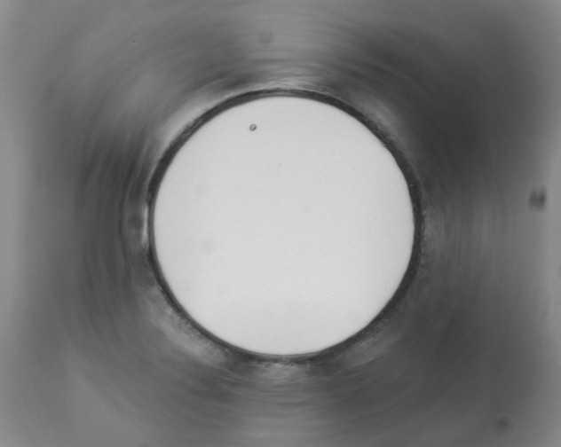 X0000112941324200910051146