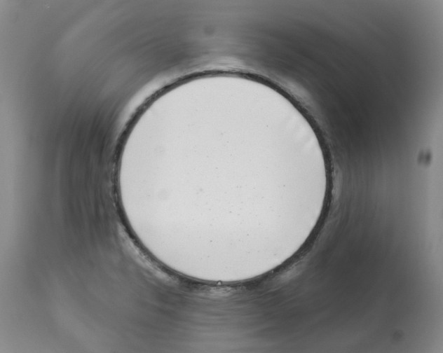 X0000112941326200910051146
