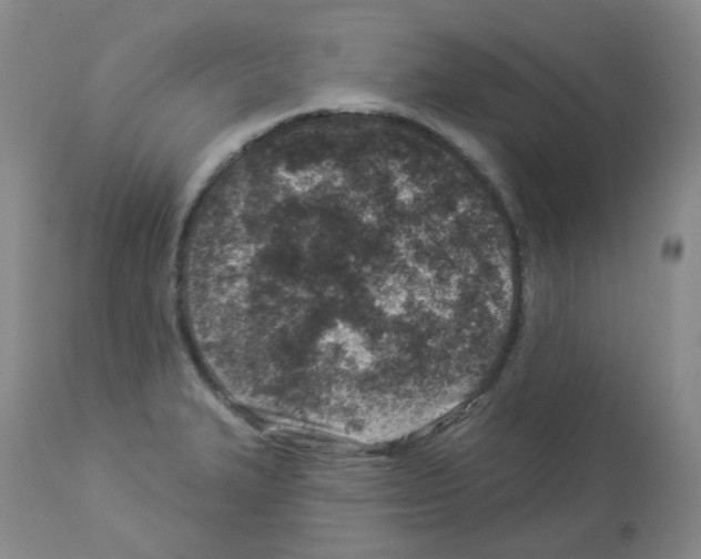 X0000112941327200910051146