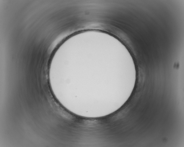 X0000112941328200910051146