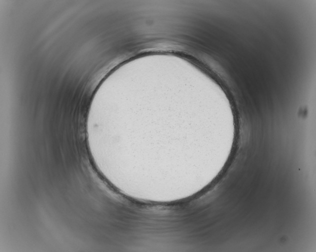 X0000112941329200910051146