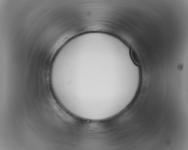 X0000112941330200910051146