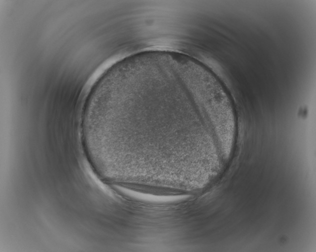 X0000112941331200910051146