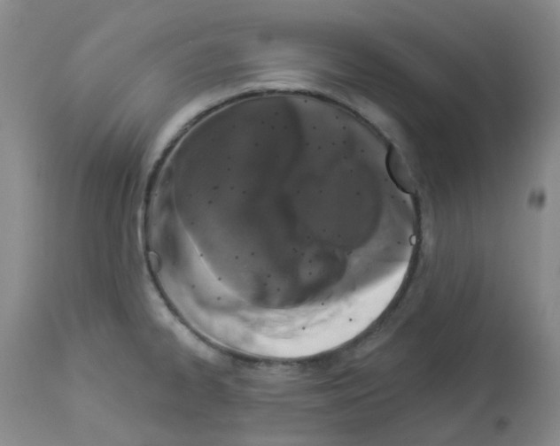 X0000112941334200910051146