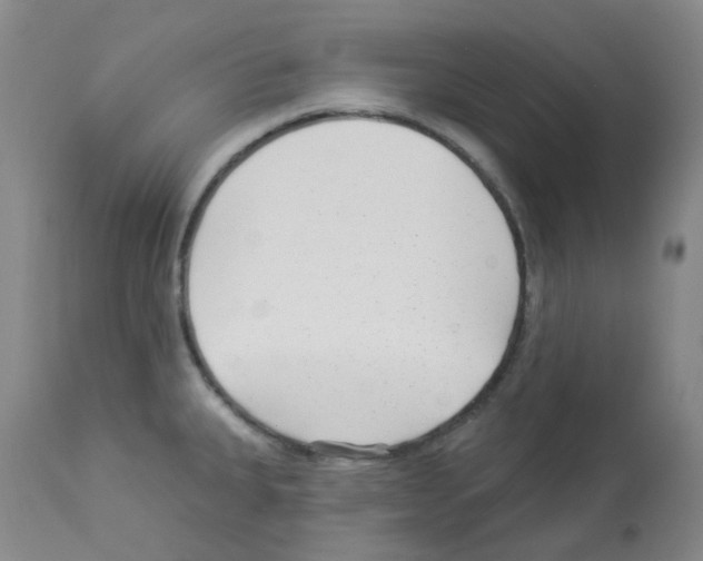 X0000112941335200910051146
