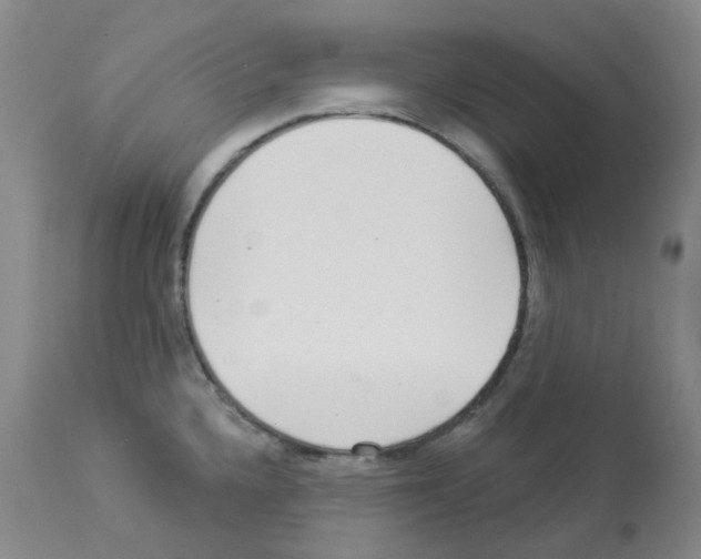 X0000112941336200910051146