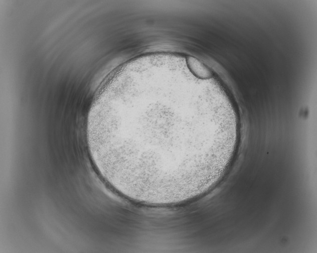 X0000112941337200910051146