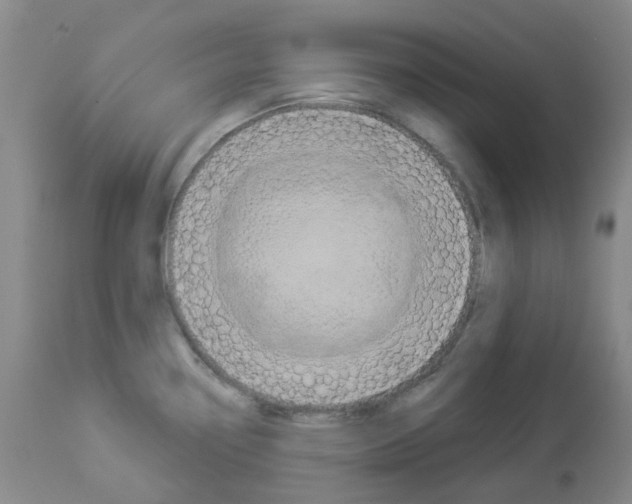 X0000112941338200910051146