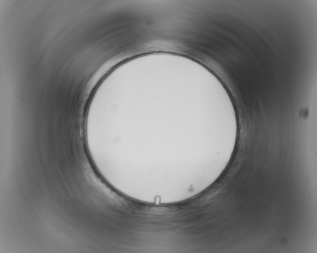 X0000112941339200910051146