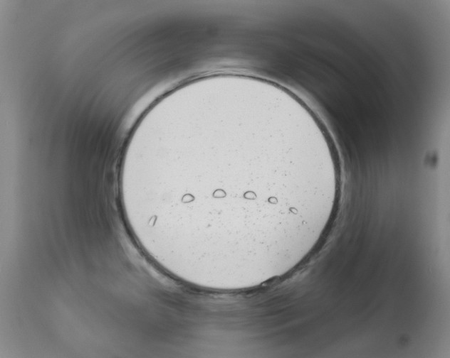 X0000112941341200910051146
