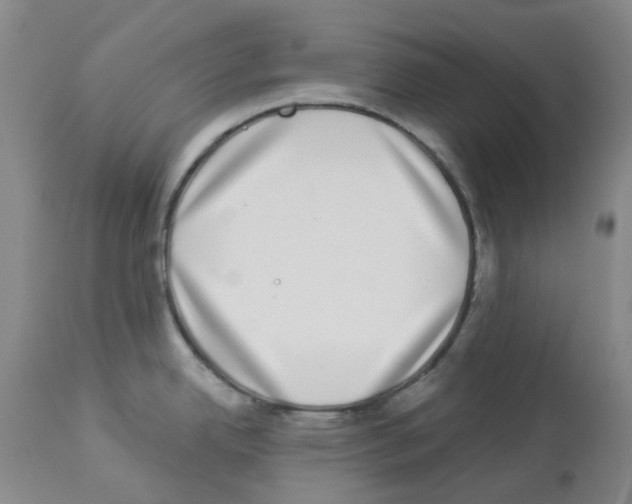 X0000112941342200910051146