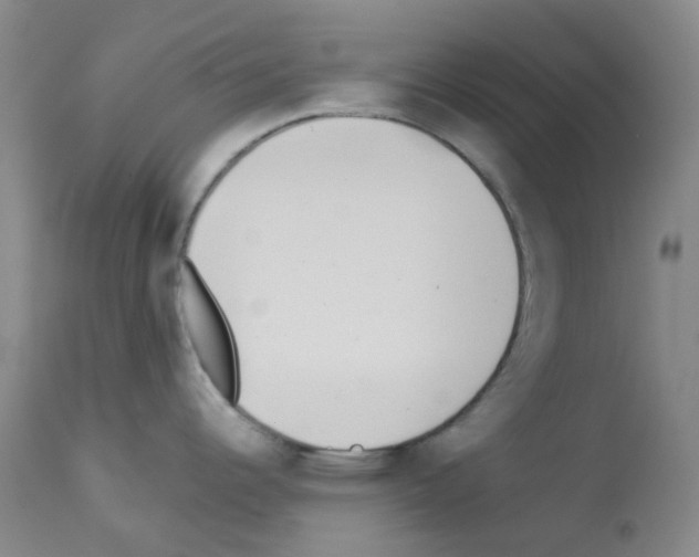 X0000112941344200910051146