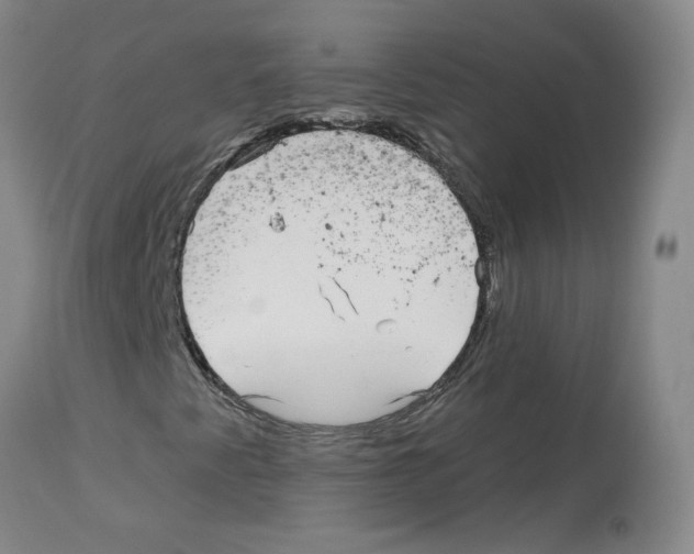 X0000112941345200910051145