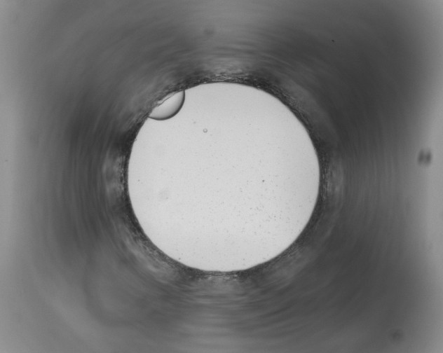 X0000112941346200910051145
