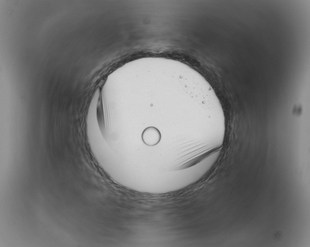 X0000112941349200910051145