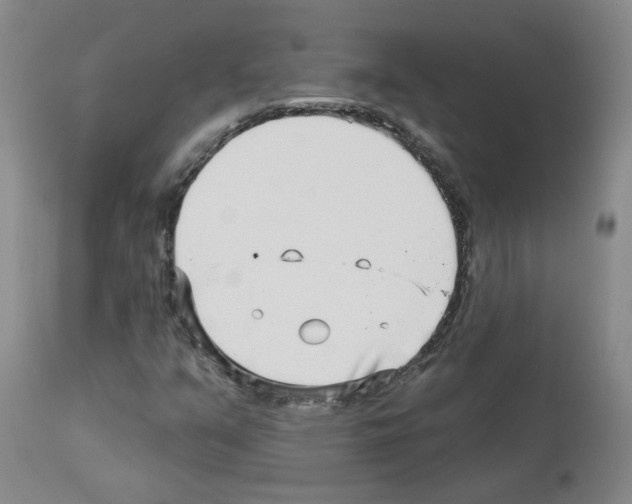 X0000112941351200910051145