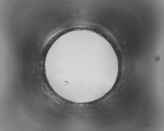 X0000112941352200910051145